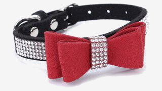 Accessori Accessori