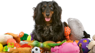 Giochi