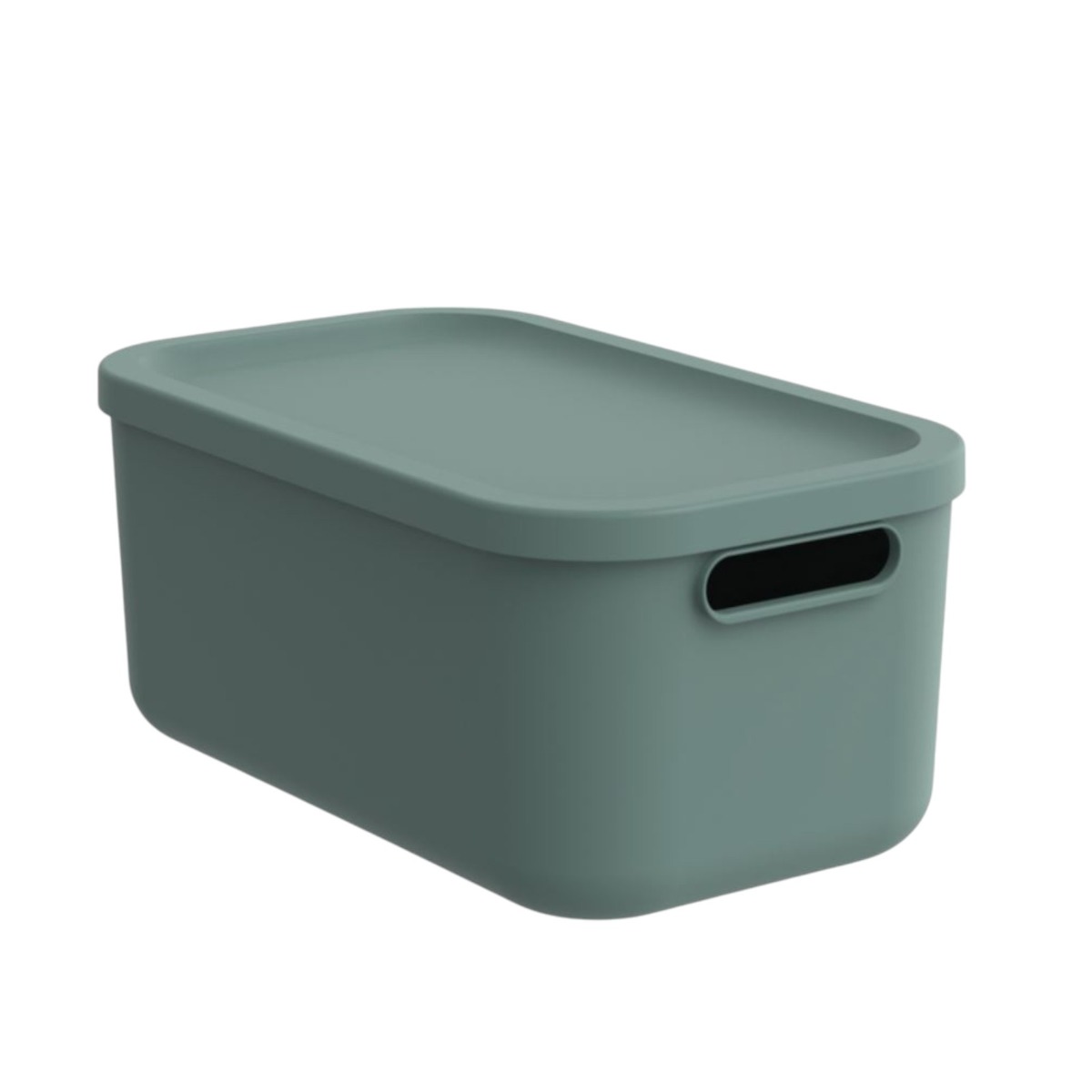 CONTENITORE MULTI BOX ALBULA 39.5X23.5 H. 17.7CM 12LT VERDE