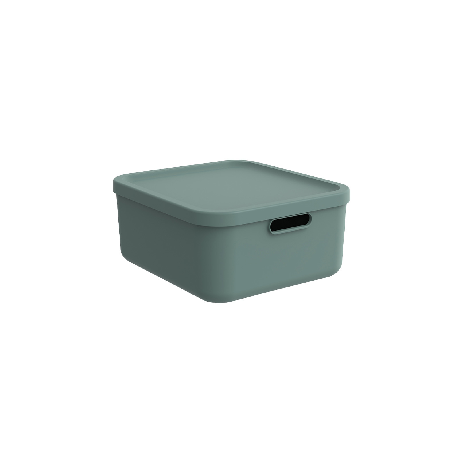 CONTENITORE MULTI BOX ALBULA 39.5X35.5 H.17.7CM 20LT VERDE