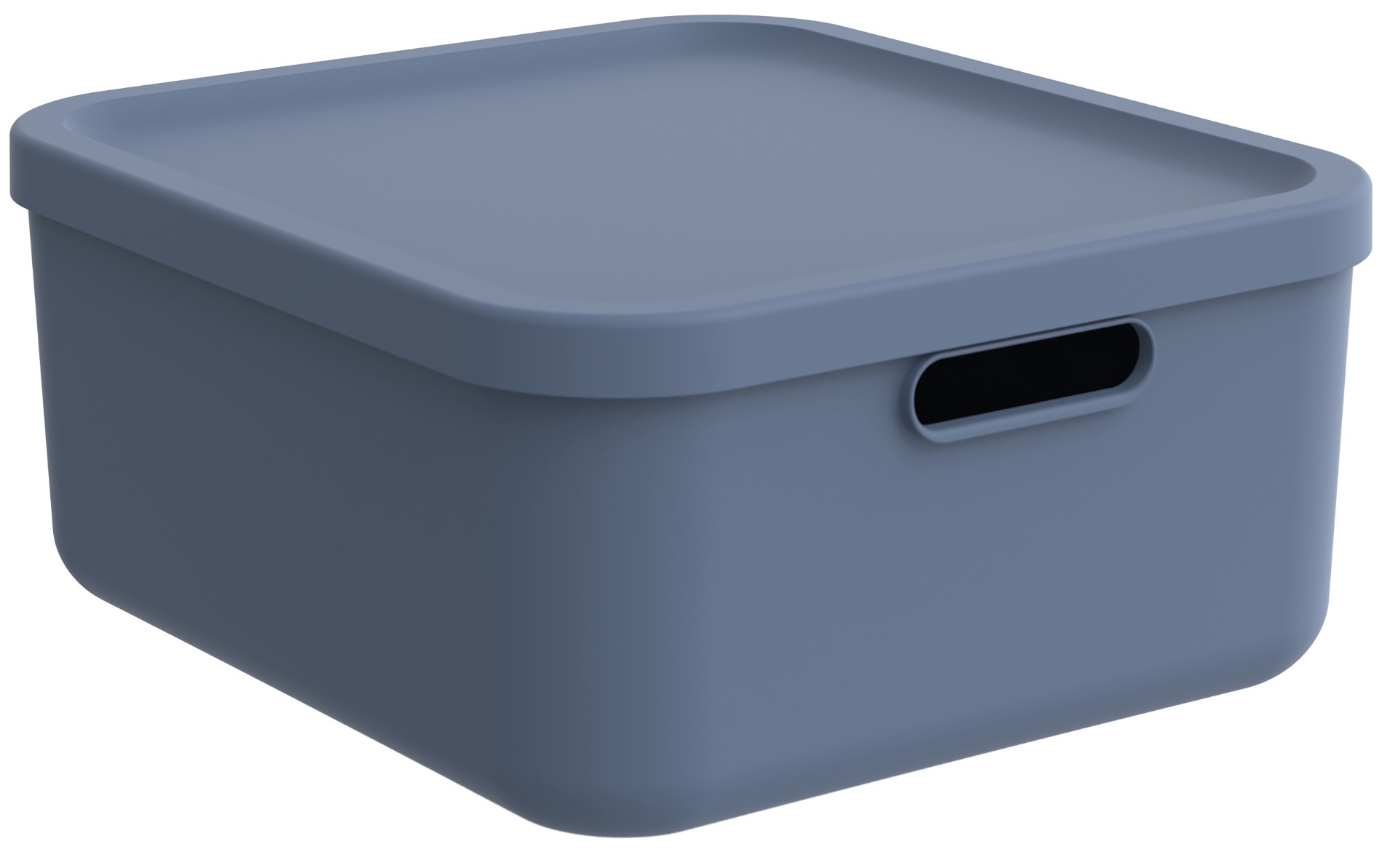 CONTENITORE MULTI BOX ALBULA 39.5X35.5 H.17.7CM 20LT BLU ORIZZONTE