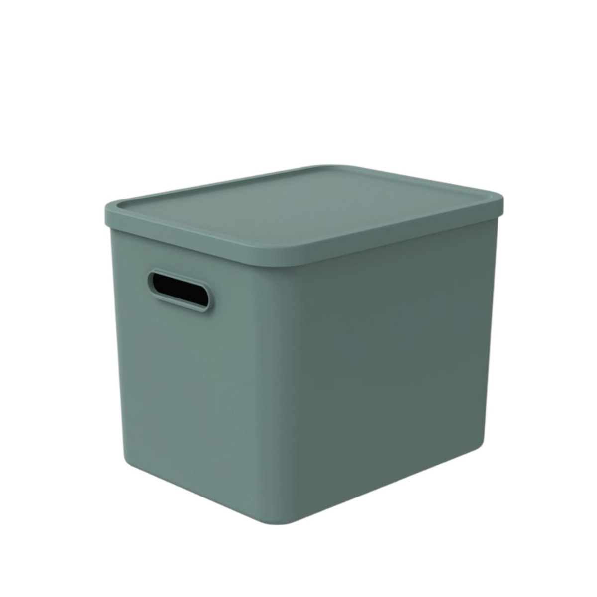 CONTENITORE MULTI BOX ALBULA 37X29 H. 29.5CM 27LT VERDE