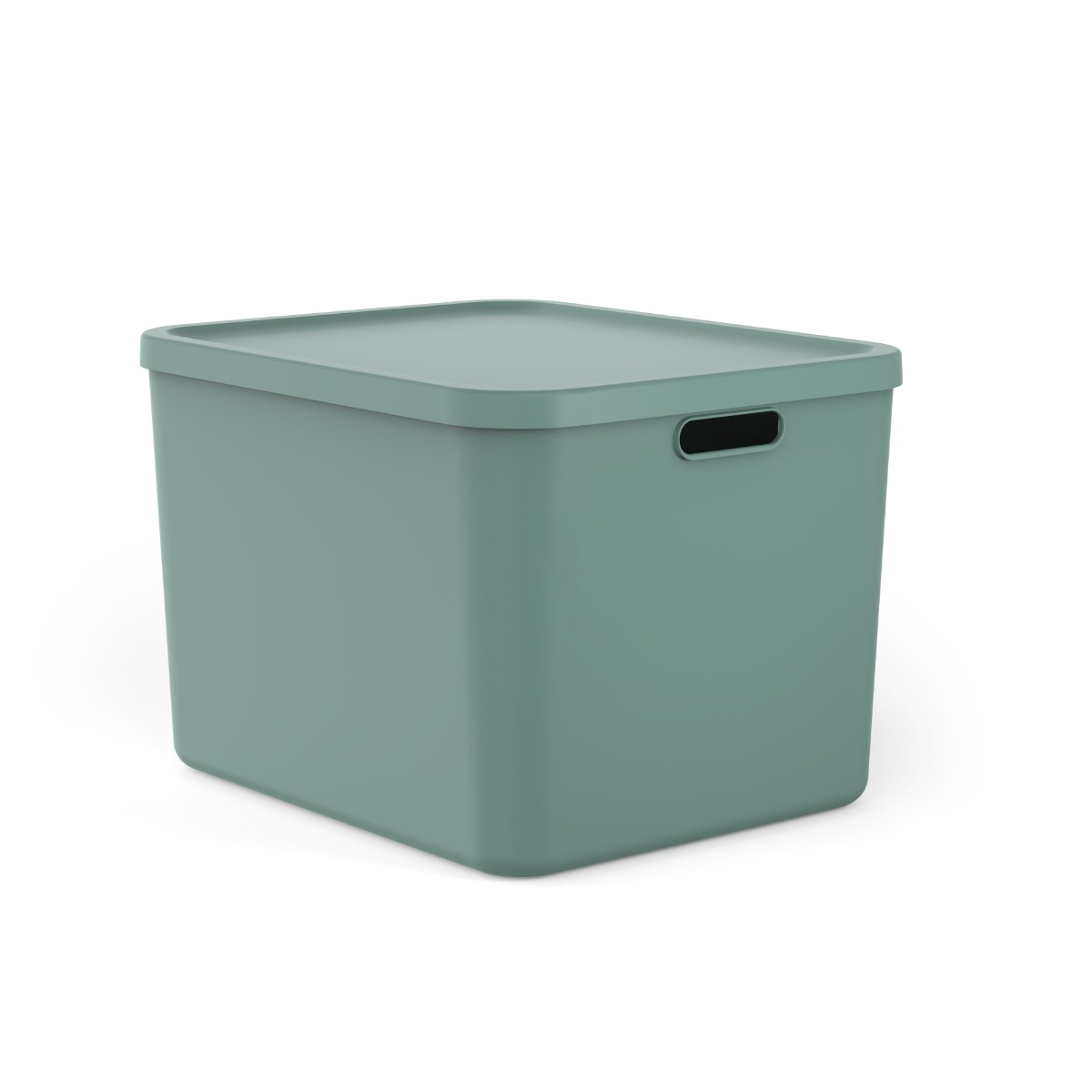 CONTENITORE MULTI BOX ALBULA 48.9X40.5 H. 34CM 55LT VERDE