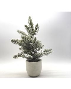 PINO NEVATO H 48CM C/BACCHE BIANCHE SU VASETTO BIANCO