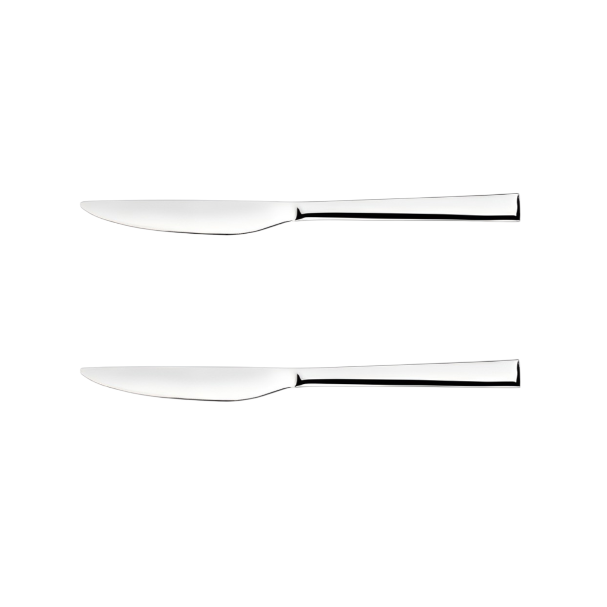 SET 2 COLTELLI DA TAVOLA LINEA DINAMICA 23.5CM
