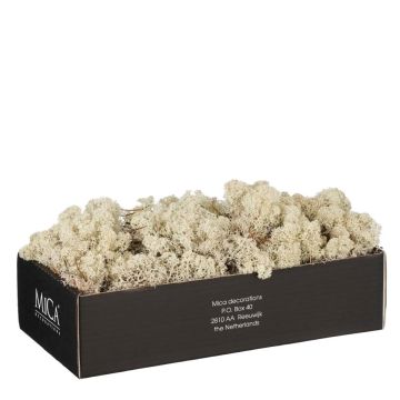 MUSCHIO BEIGE IN SCATOLA 500GR MUSCHIO BEIGE IN SCATOLA 500GR
