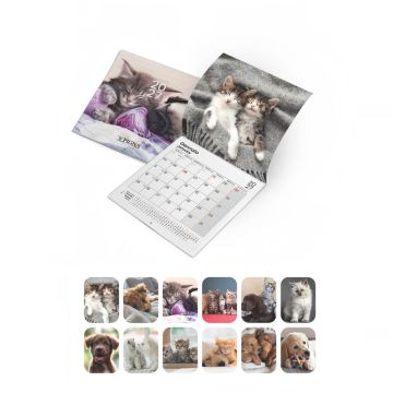 PIGNA - CALENDARIO DA PARETE CUCCIOLI 2027 30X30CM 