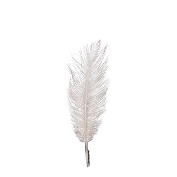 SET DI 6 PIUME CHAMPAGNE CON CLIP H. 18CM