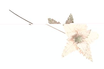 FIORE GAMBO LUNGO CHAMPAGNE D. 34CM