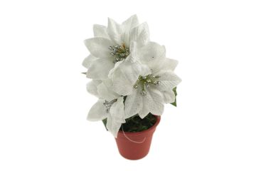 STELLA DI NATALE BIANCA CON VASO 