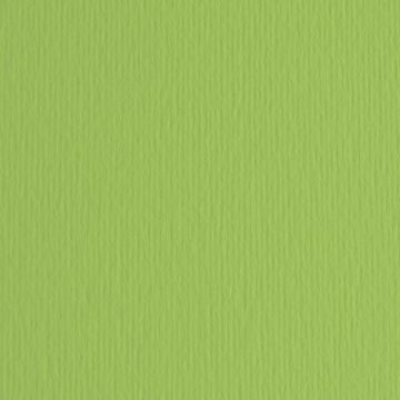 CARTONCINO ELLE-ERRE 50X70 VERDE PIS VERDE PISELLO