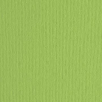 FABRIANO - CARTONCINO ELLE ERRE 70X100CM VERDE PISELLO