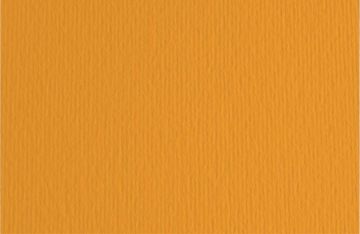 CARTONCINO ELLE ERRE 50X70 ARAGOSTA