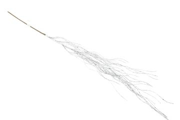 RAMO CON GLITTER H. 75CM ARGENTO