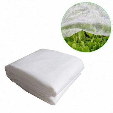 TESSUTO NON TESSUTO 2.4X10MT BIANCO 