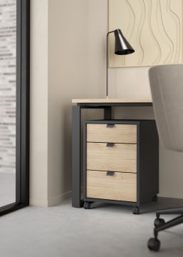 CASSETTIERA MOD. SIGN CM 40.8X48.2 H. 60.8 GRIGIO OPACO E JACKSON HICKORY