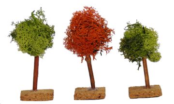 ALBERO 9CM