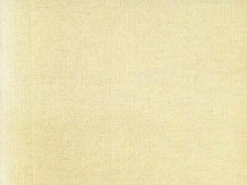 TENDA DA SOLE 100% ACRILICO CON OCCHIELLI IN METALLO BEIGE 140X250CM 