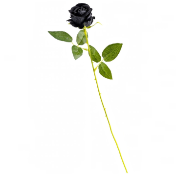 ROSA NERA H. 50CM