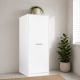MOBILE PER LAVANDERIA A RIPIANI CM 67X68 H.164 BIANCO OPACO