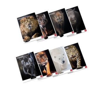 PIGNA - QUADERNO MAXI ANIMAL 42 FOGLI A4 RIGHE 3a elem ASS.