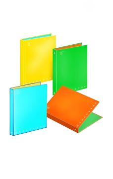 PIGNA - RACCOGLITORE AD ANELLI MONOCROMO FLUO A4 ASSORTITO