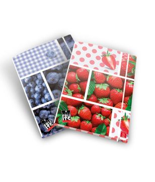 CARTELLA 3 LEMBI A4 FRUTTA DORSO 1.2