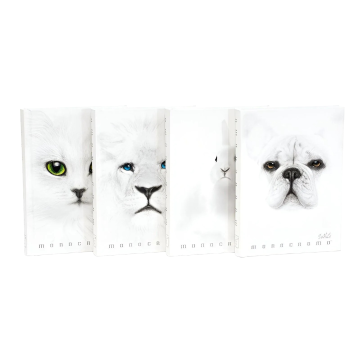 PIGNA - DIARIO 12 MESI MONOCROMO WHITE 13X18 CM ASSORTITO