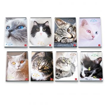 QUADERNO MAXI CATS AND BIG EYES 38FF/SH RIGHE 1 rigo 3a elementare CON MARGINE ASSORTITO