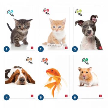 PIGNA - QUADERNO MAXI PLAY WITH PETS 50 FOGLI A4 QUADRETTI 1a 2a 3a elem. ASS.