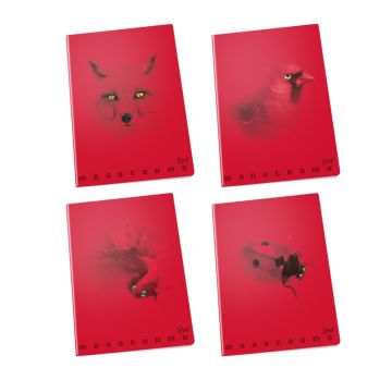 PIGNA - QUADERNO MAXI MONOCROMO RED 38 FOGLI A4 RIGHE 4a 5a elem. ASS.