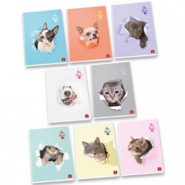 QUADERNO MAXI HEY THERE 38FF/SH RIGHE 4a 5a elementare CON MARGINE