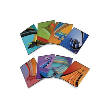 PIGNA - QUADERNO MAXI ANIMAL TRAIL 50 FOGLI A4 QUADRETTI 1a 2a 3a elem. ASS.