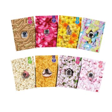 PIGNA - QUADERNO MAXI BUBU 7 TE 50FF/SH RIGHE 4a 5a elementari CON MARGINI ASSORTITO