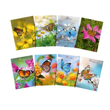 PIGNA - QUADERNO MAXI BUTTERFLIES 50FF/SH QUADRETTI 4mm ASSORTITO