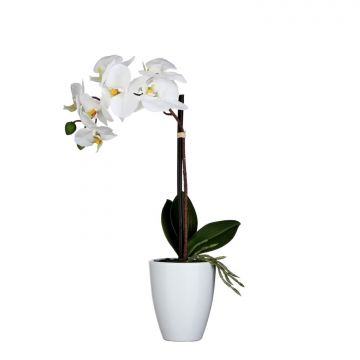 ORCHIDEA BIANCA CON VASO H 42 D 20CM