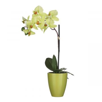 ORCHIDEA GIALLA CON VASO H 42 D 20CM