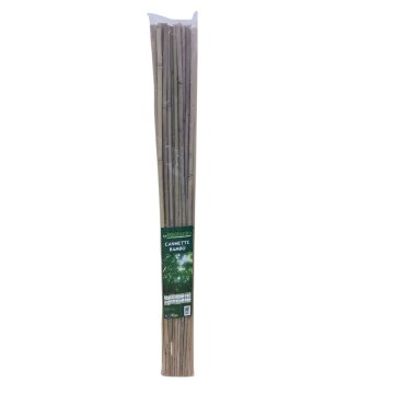 SET 20 CANNETTE IN BAMBOO H 90CM DIAM. 8/10MM