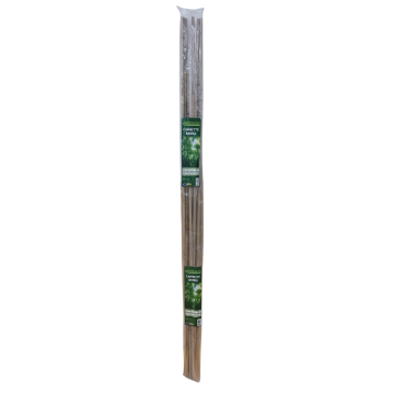 SET 10 CANNETTE IN BAMBOO H 150CM DIAM. 10/12MM