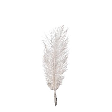 SET DI 6 PIUME CHAMPAGNE CON CLIP H. 18CM