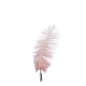SET 6 PIUME ROSA CON CLIP H. 18CM