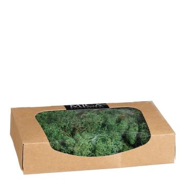 MUSCHIO ARTIFICIALE VERDE 35GR 20X12 H.4.5