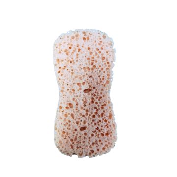 SPUGNA LAVAGGIO 22X11X5CM