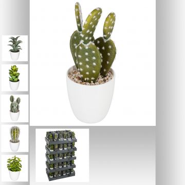 VASETTO CACTUS H 18CM