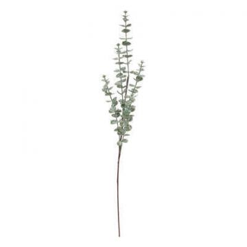 EUCALIPTO VERDE H. 75CM
