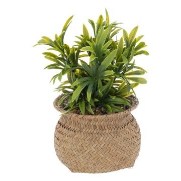 PIANTA ARTIFICIALE JILING CON VASO DIAM. 12.5X H.20CM 