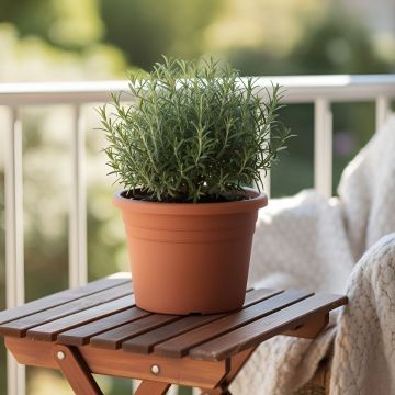 VASO JESOLO 0.9LT DIAM. 14 IN PLASTICA COLOR TERRACOTTA 