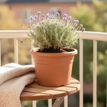 VASO JESOLO 2.5LT DIAM. 20CM COLOR TERRACOTTA 