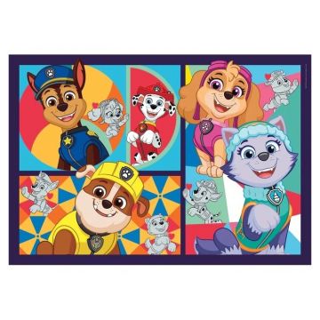 PZL 30 PAW PATROL