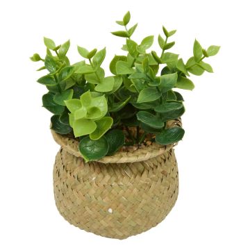 VASO IN GIUNCO CON PIANTA ARTIFICIALE D 10CM H 16CM ASSORTITO
